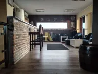 Izdavanje, poslovni prostor, 400m², Čenej, Novi Sad Sve Podlokacije - image 17