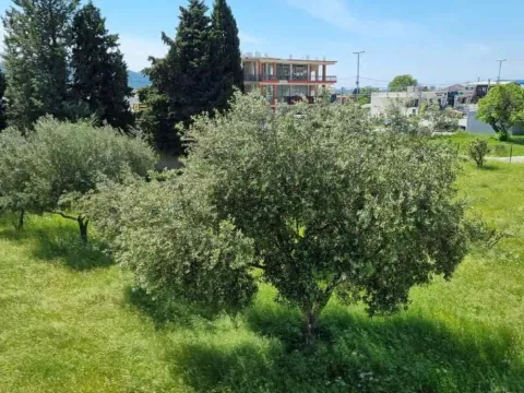 Prodaja, plac, 4980m², Bar, Crna Gora - image 4