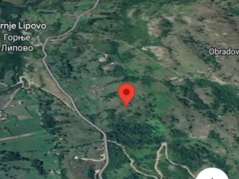 Sale, land lot, 10486m², Gornje Lipovo, Kolašin