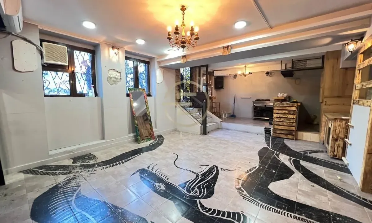 Izdavanje, poslovni prostor, 66m², Centar, Novi Sad