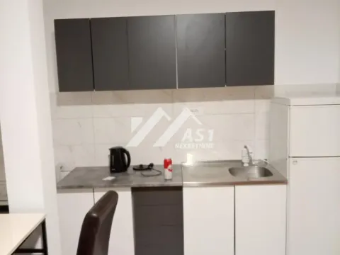 Izdavanje, jednosoban stan, 30m², Adice, Novi Sad Sve Podlokacije - image 4