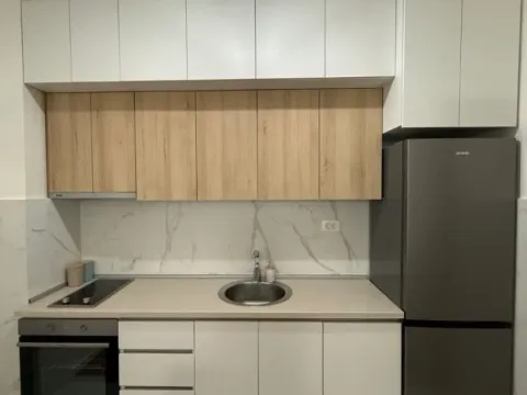 Izdavanje, jednosoban stan, 45m², Pobrežje, Podgorica - image 4