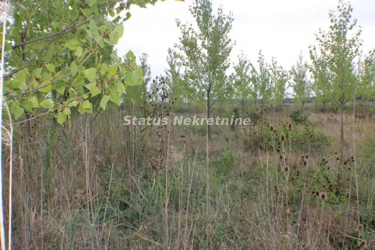 Prodaja, plac, 1378m², Zrenjanin, Srbija