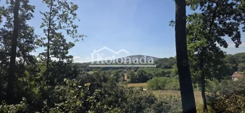 Pogled na šumu i prirodu iz okoline. - image 2