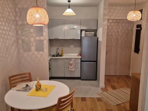 Izdavanje, jednosoban stan, 40m², Central Point, Podgorica - image 8