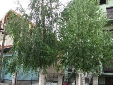 Sale, house, 360m², Centar, Ćuprija - image 5