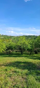Prodaja, kuća, 140m², Dučalovići, Lučani - image 17