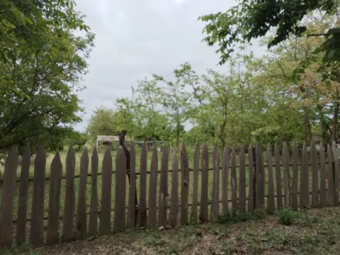 Prodaja, plac, 5400m², Veliki Radanovac, Subotica - image 5