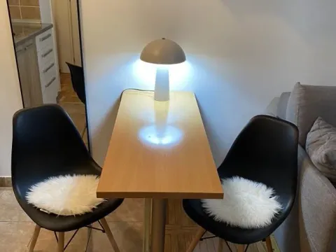 Izdavanje, garsonjera, 26m², Grbavica, Novi Sad Sve Podlokacije - image 6