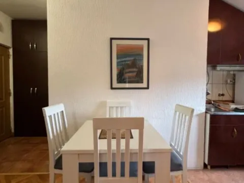 Izdavanje, jednosoban stan, 40m², Stari Aerodrom, Podgorica - image 3