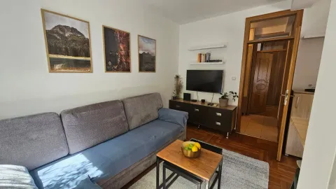 Rent, one bedroom apartment, 59m², Central Point, Podgorica - image 659