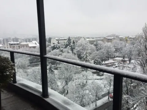 Izdavanje, trosoban stan, 92m², Vračar Centar, Vračar Sve Podlokacije - image 6