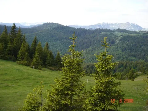 Prodaja, plac, 450000m², Centar, Žabljak - image 12