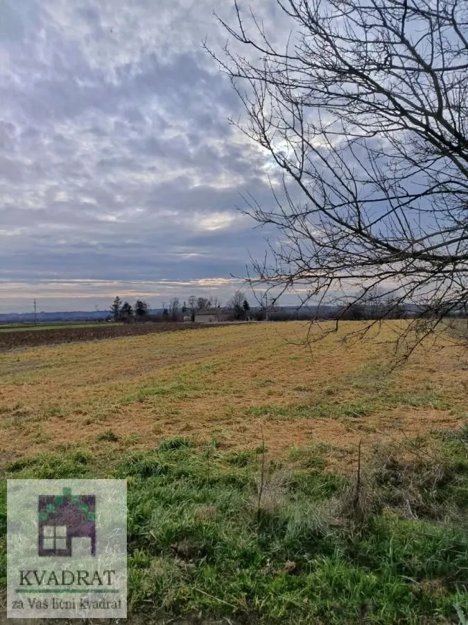 Prodaja, plac, 2500m², Zvečka, Obrenovac
