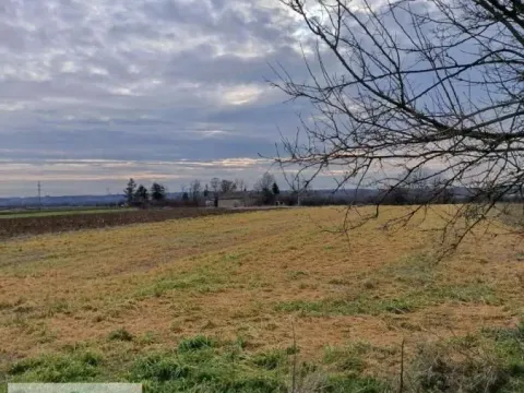 Prodaja, plac, 2500m², Zvečka, Obrenovac - image 3