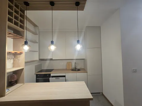 Rent, one bedroom apartment, 51m², Zabjelo, Podgorica - image 3