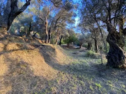 Sale, land lot, 3700m², Zaljevo, Bar - image 2