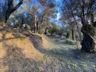 Prodaja, plac, 3700m², Zaljevo, Bar - image 2