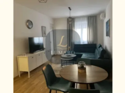 Izdavanje, jednosoban stan, 47m², Stari Aerodrom, Podgorica - image 2