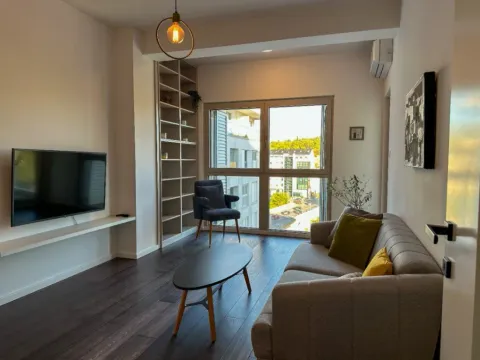 Rent, one bedroom apartment, 48m², Vezirov Most, Podgorica