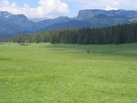 Prodaja, plac, 6056m², Centar, Žabljak - image 4