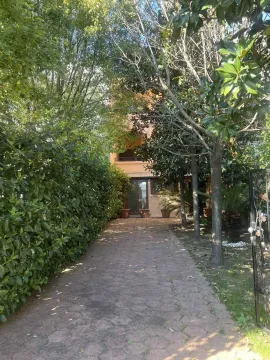 A paved path surrounded by trees and greenery leading to the building entrance. - image 3