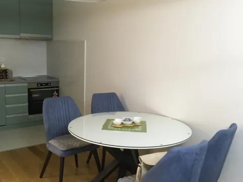 Rent, one bedroom apartment, 49m², Central Point, Podgorica - image 2