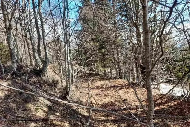 Prodaja, plac, 4200m², Raška, Srbija