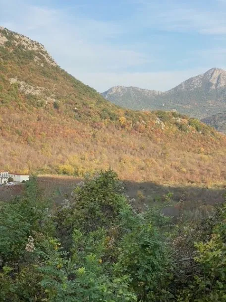 Prodaja, plac, 7000m², Sotonići, Bar