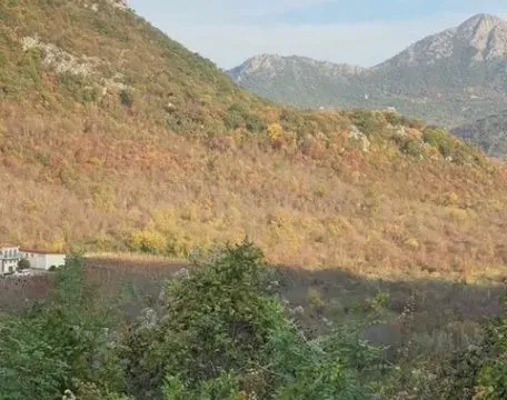 Prodaja, plac, 7000m², Sotonići, Bar - image 5