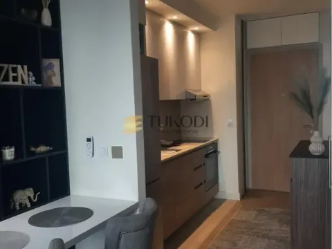 Izdavanje, garsonjera, 32m², Savski Venac, Beograd - image 2