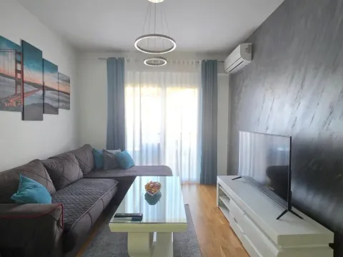 Rent, one bedroom apartment, 47m², Ljubović, Podgorica - image 4