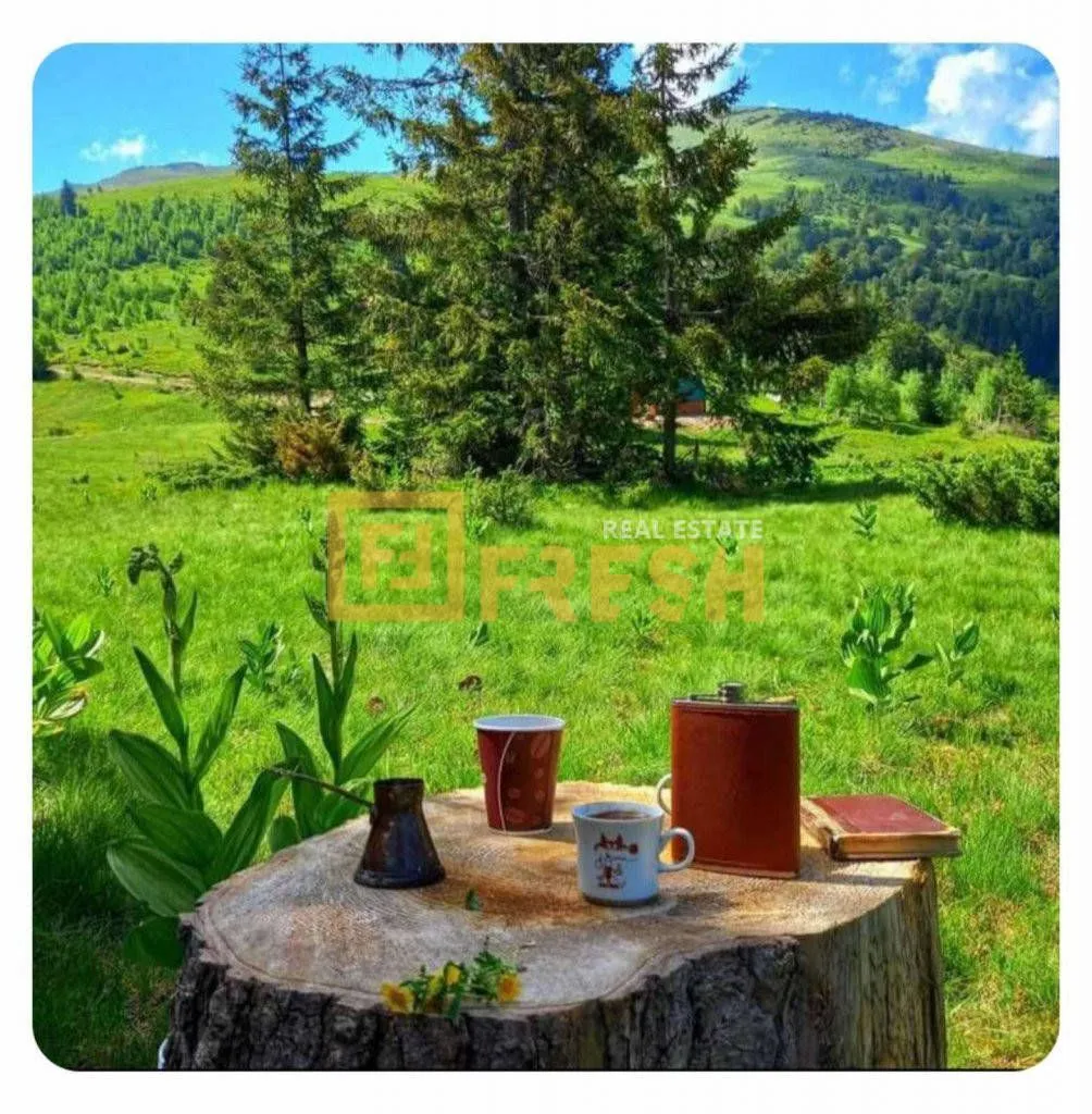Prodaja, plac, 6000m², Berane, Crna Gora