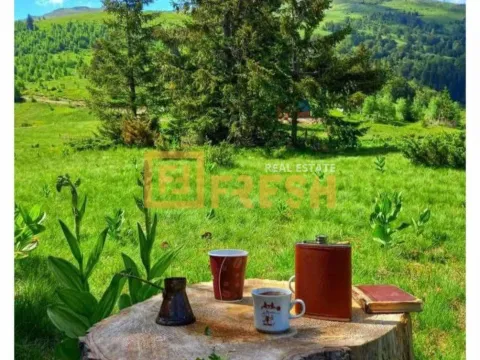 Prodaja, plac, 6000m², Berane, Crna Gora - image 5