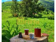 Prodaja, plac, 6000m², Berane, Crna Gora - image 5