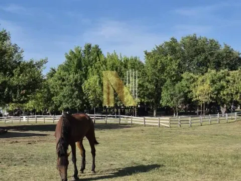 Sale, house, 230m², Srbobran, Novi Sad - image 73