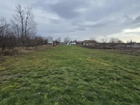 Prodaja, plac, Bački Petrovac, Novi Sad - image 3