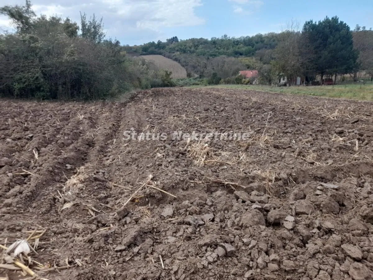 Prodaja, plac, 3700m², Irig, Srbija
