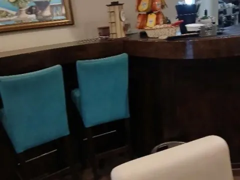 Prodaja, poslovni prostor, 34m², Botanička Bašta, Palilula Sve Podlokacije - image 7