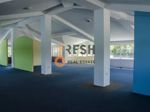 Sale, office space, 900m², Ostalo, Podgorica - image 11
