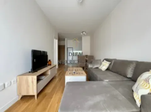 Izdavanje, jednosoban stan, 42m², Central Point, Podgorica - image 5