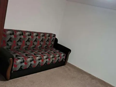 Rent, one bedroom apartment, 22m², Petrovaradin, Novi Sad - image 1