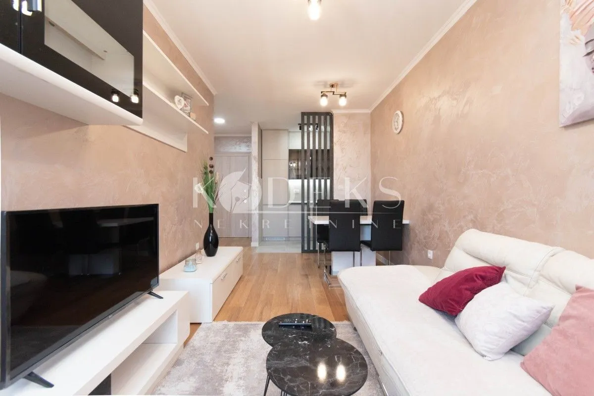 Izdavanje, jednosoban stan, 40m2, Central Point, Podgorica