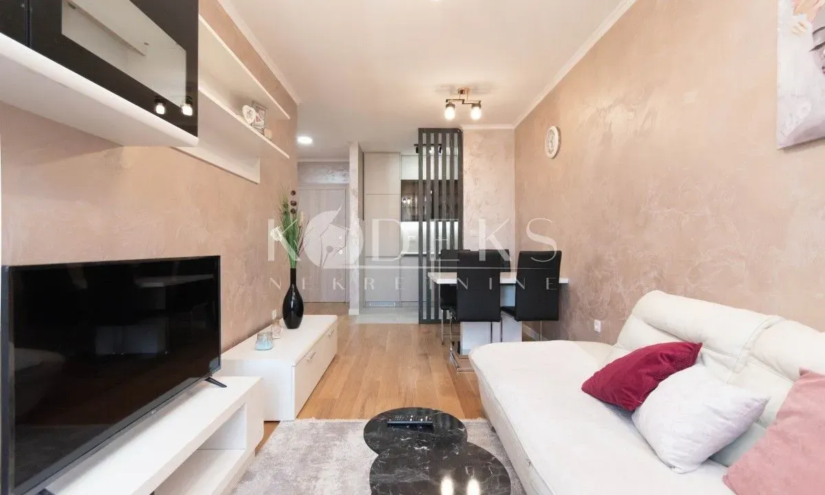 Izdavanje, jednosoban stan, 40m², Central Point, Podgorica