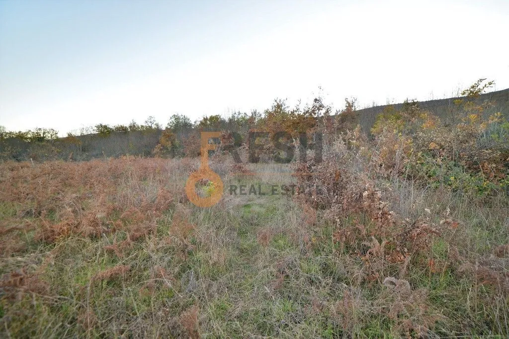 Prodaja, plac, 18000m², Danilovgrad, Crna Gora