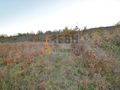 Prodaja, plac, 18000m², Danilovgrad, Crna Gora - image 5