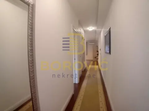 Izdavanje, dvosoban stan, 44m², Vračar Hram, Vračar Sve Podlokacije - image 5