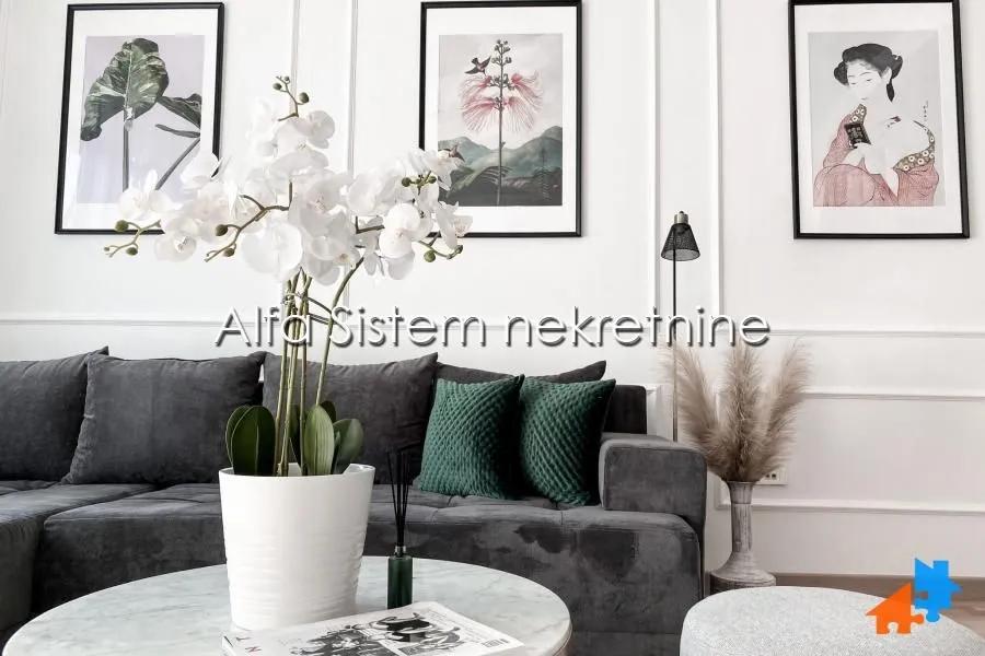 Rent, two bedroom apartment, 56m², Savski Venac, Beograd
