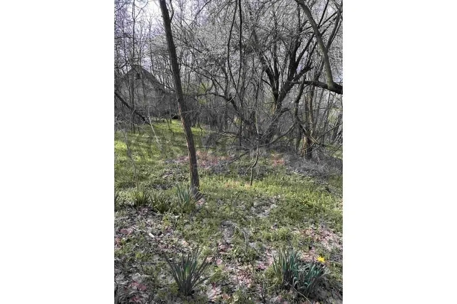 Prodaja, plac, 1800m², Lisović, Barajevo
