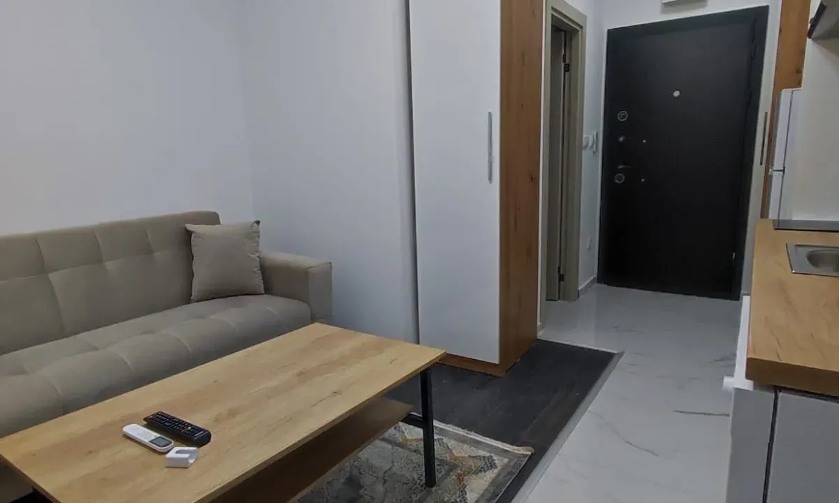 Rent, studio apartment, 20m², Zabjelo, Podgorica